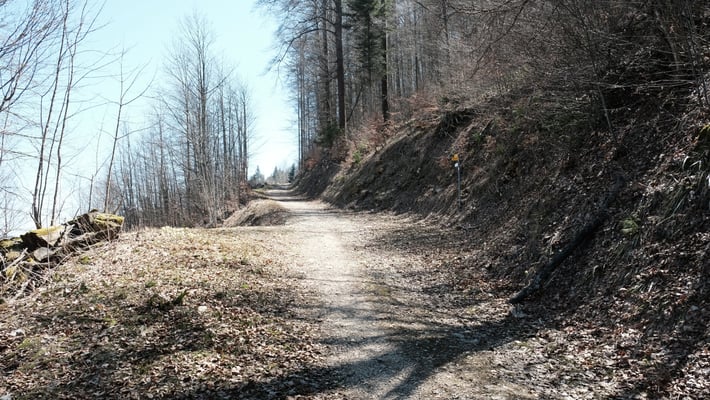 Die alte Militärstrasse