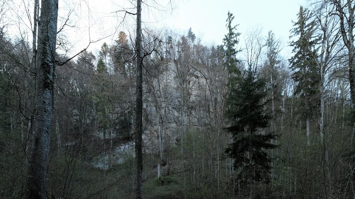 Nun geht's hoch auf die Babertenflue. Hier folge ich nicht der Grenze, sonst müsste ich den Fels hoch klettern