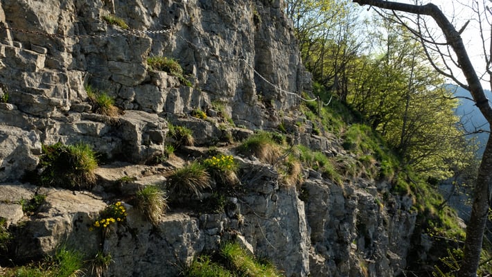 Eine etwas knifflige Stelle. Gut gibt es Ketten.