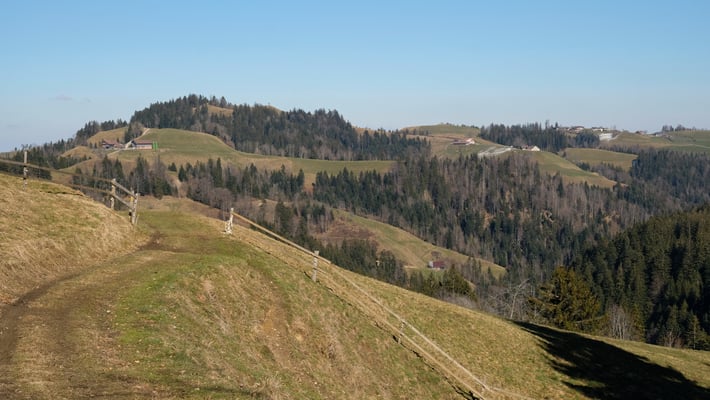 Und weiter geht's zum Bauernhof Ober Waldegg, dann hoch und nach rechts zurück nach Menzberg
