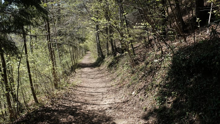 ... und Richtung Lauwil