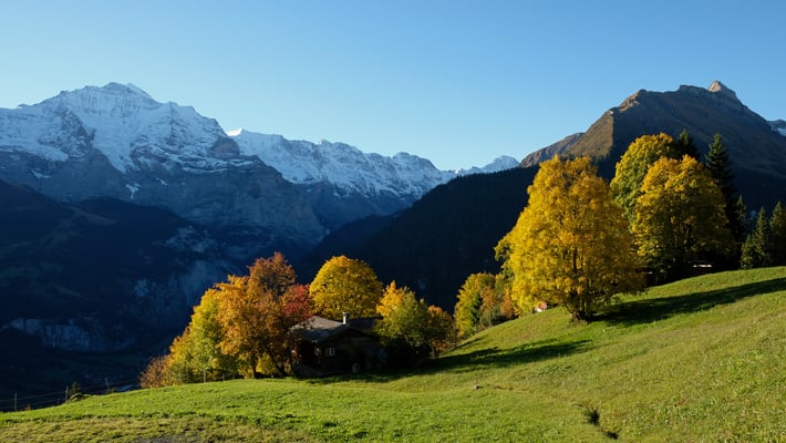 Herbstliches Sulwald