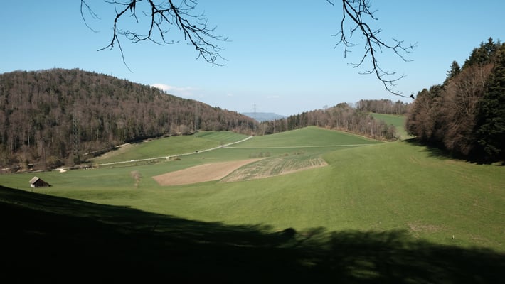 Über die Wiese zu einem Kantonsgrenzstein im Acker