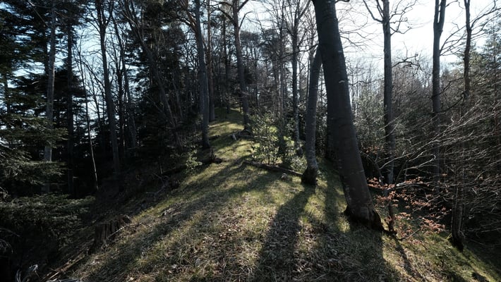 Angekommen auf dem Gaissraingrat