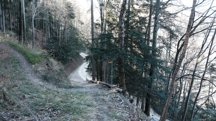 Der Wasserfallenweg. Der Grenzverlauf geht nach links Richtung Gondelbahnbergstation