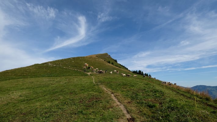 Schlussaufstieg zum Buochserhorn
