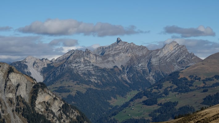 ... und die Spillgertengruppe