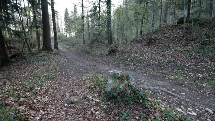 Schöner Grenzstein unterhalb der Babertenflue