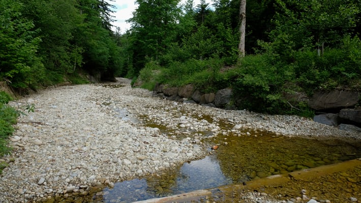 Der beinahe trockene Hornbach