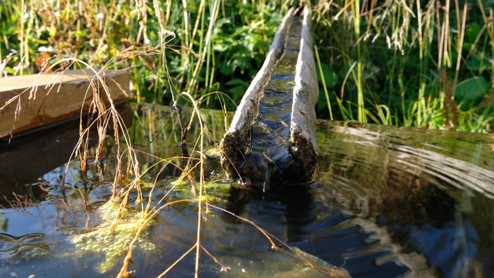 Ein schöner Brunnen