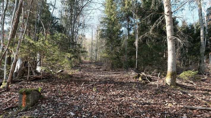 Der Einstieg zum Dünnleberg.