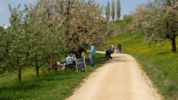 Ein Erfrischungsstand mit Apfelsaft im Angebot