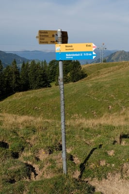 Weiter geht es auf dem Alpinwanderweg