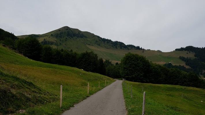Und einletzter Blick zurück zum Buochserhorn