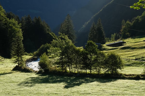 Schöne Stimmung am frühen Morgen beim Bodenberg, wo ich parkiert hatte.