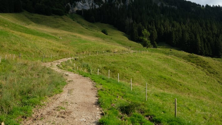 Der Aufstieg beginnt noch recht gemächlich