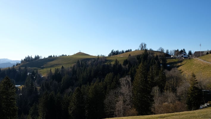 Aussichtspunkt Oberlehn und Hof Oberlehn