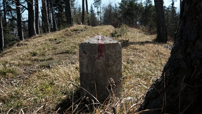 Grenzstein Reigoldswil/Liedertswil/Waldenburg