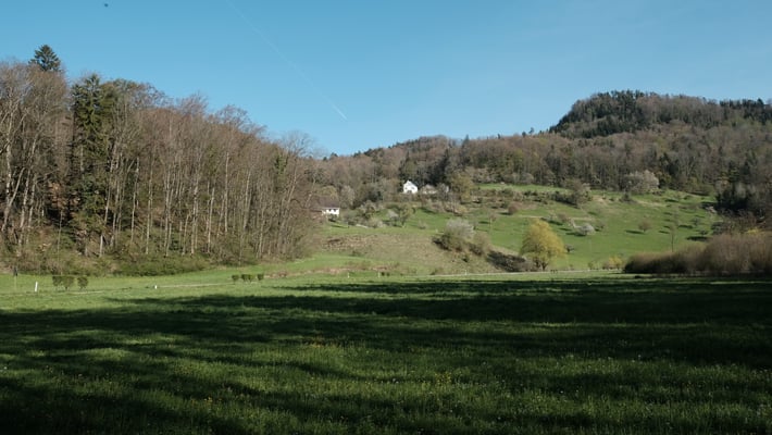 Die Grenze verläuft nun - vom tiefsten Punkt von Reigi - über die Strasse zur Ecke des Waldes und links von der unteren Bütschen vorbei hoch in den Wald und ob der oberen Bütschen weiter nach rechts. 