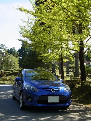 紅葉とデミオスポルト