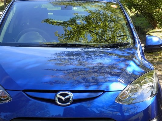 紅葉とデミオスポルト