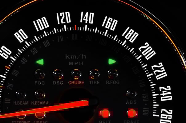 model-VINTAGE(WHITE):LIMITED EDITION ver.MB