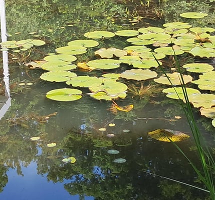 Foto: Daniela Dwersteg