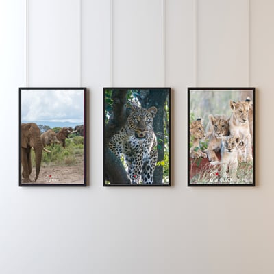 Foto Glück Fineart Print