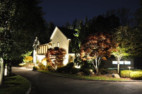 Although the home is the primary focal point, whenever it's facade is illuminated, each of the uplit trees along the driveway will beg for your attention as you approach the front door.