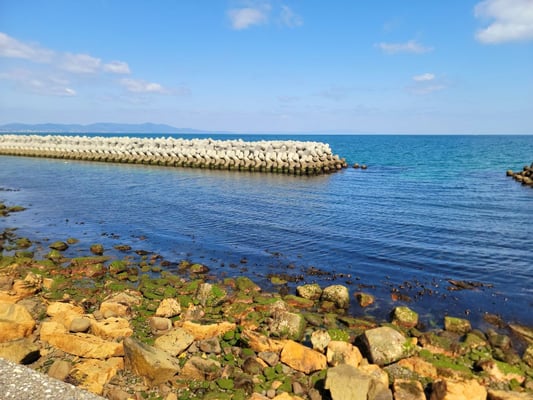 淡路島海が目の前の土地