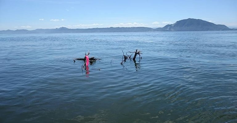 流木等の回収や漂流物の通報や注意喚起