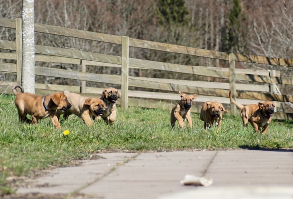 Auf die Plätze, fertig, los