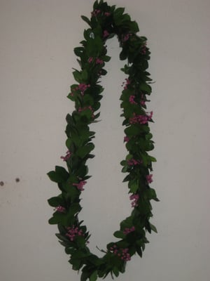 LEIS#001