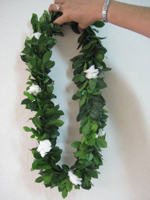 LEIS#003