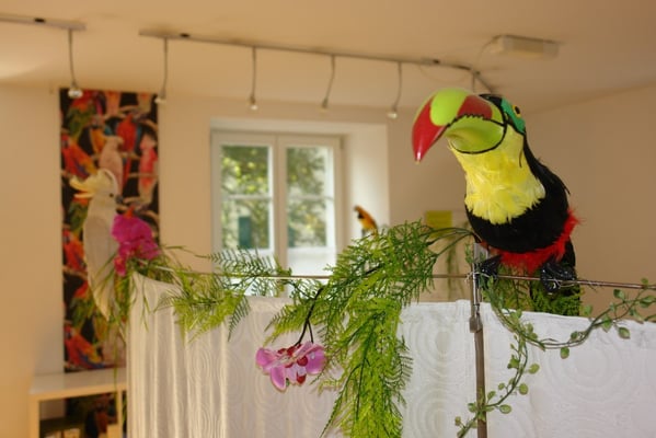 lemongrass Lenzburg, Denise Donà, Fusspflege · Kosmetik · Styling