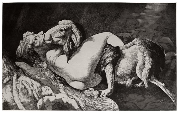 Standby // 静止状态 2006, 24,5 x 39 cm