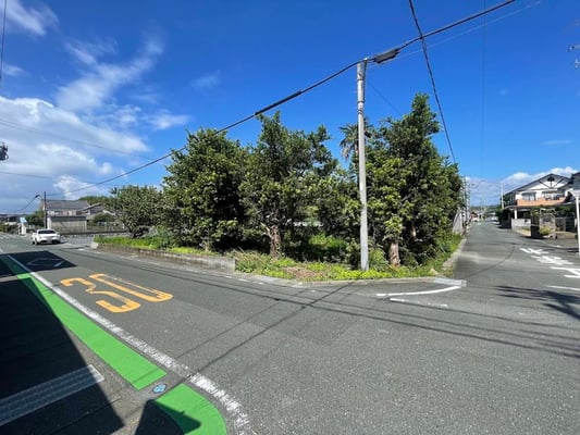 東南側より撮影