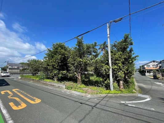 東南側より撮影