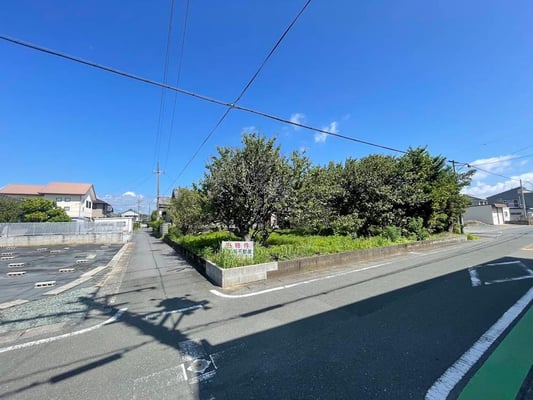 南西側より撮影