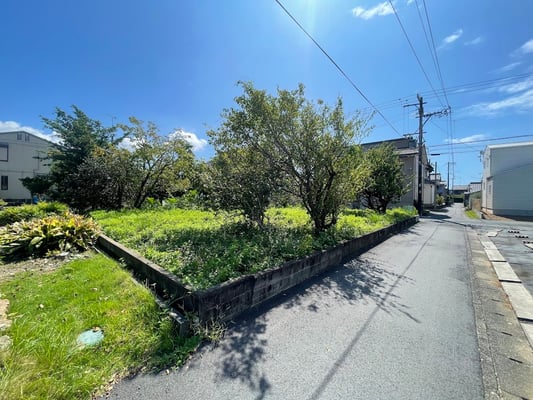 北西側より撮影