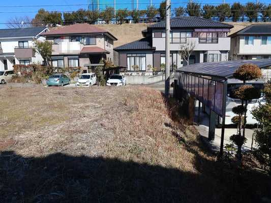 東側の境界の様子