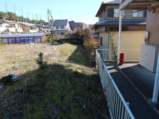 南側の境界の様子