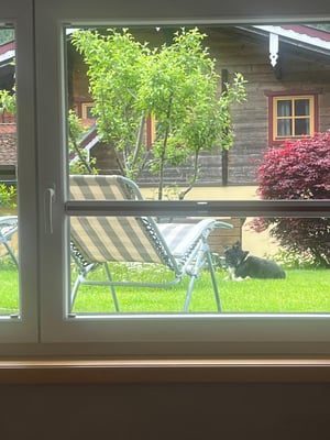 Schöne Aussicht in den Garten