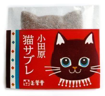 カシューナッツ入りのココア生地