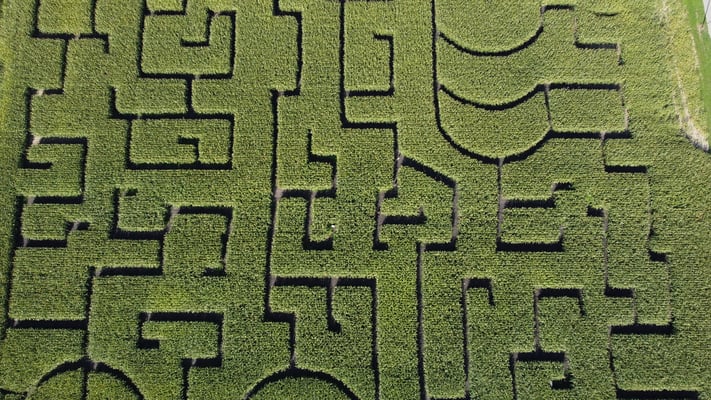 RhyLa Maislabyrinth Balgach