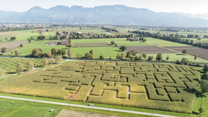 RhyLa Maislabyrinth Schweiz