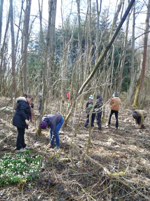 Exkursion Ak Botanik, Margareta Loscher