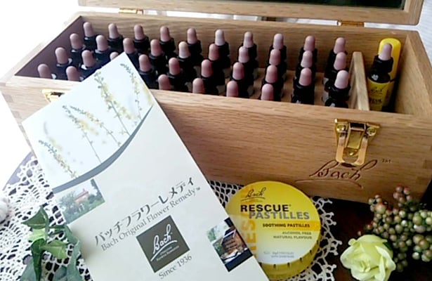 はじめての人の『フラワーエッセンス入門講座』