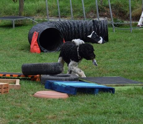 Au dr Filou het gli Erfolg