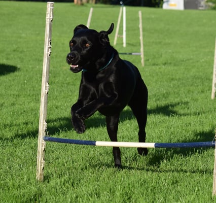 Das mach i doch mit links... 